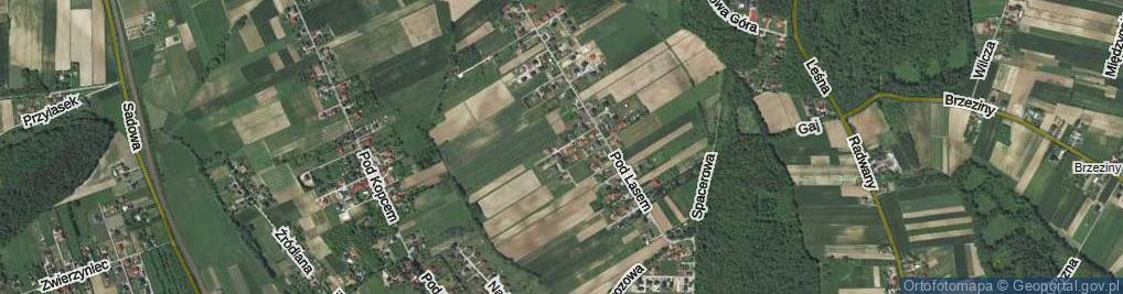 Zdjęcie satelitarne Jaśminowa ul.