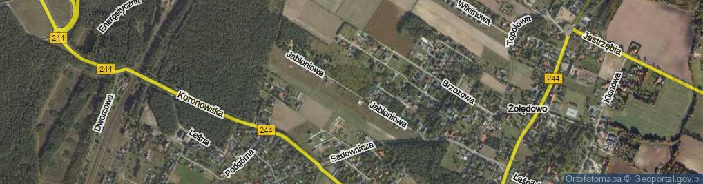 Zdjęcie satelitarne Jabłoniowa ul.