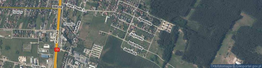 Zdjęcie satelitarne Jeżynowa ul.