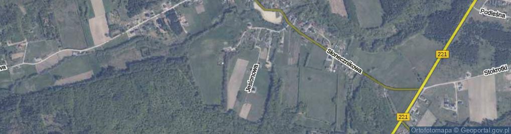 Zdjęcie satelitarne Jesionowa ul.