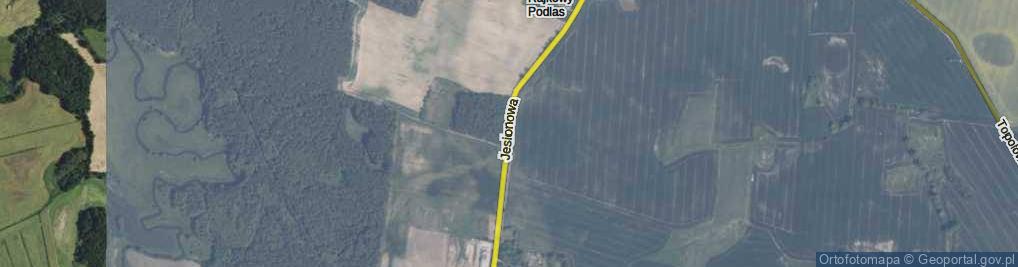 Zdjęcie satelitarne Jesionowa ul.