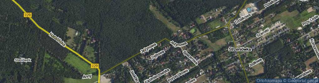 Zdjęcie satelitarne Jeżynowa ul.