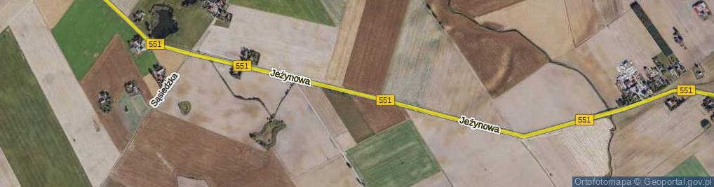 Zdjęcie satelitarne Jeżynowa ul.