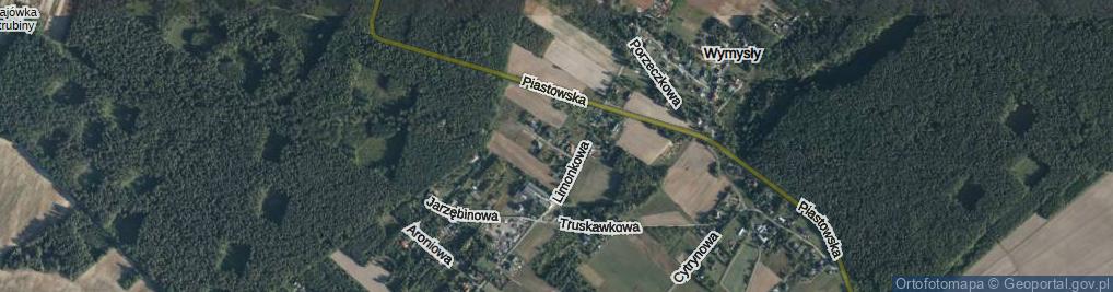 Zdjęcie satelitarne Jeżynowa ul.