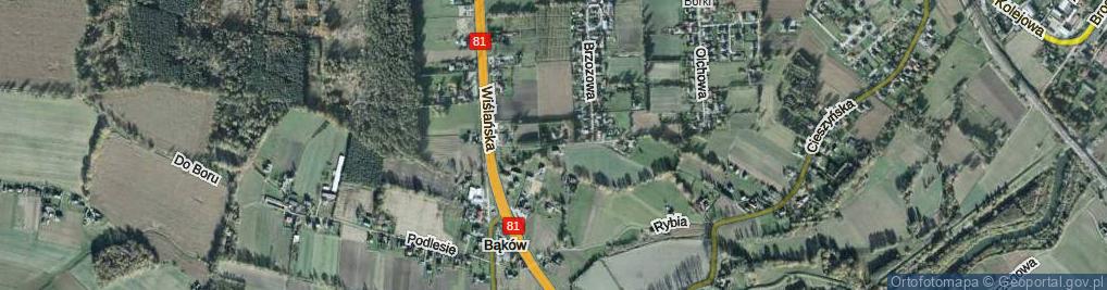 Zdjęcie satelitarne Jesionowa ul.