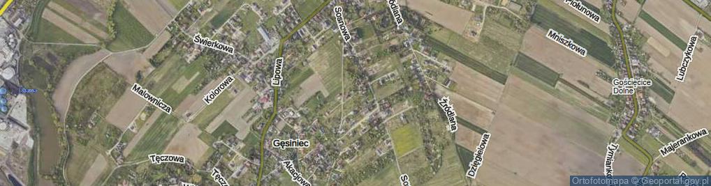 Zdjęcie satelitarne Jodłowa ul.