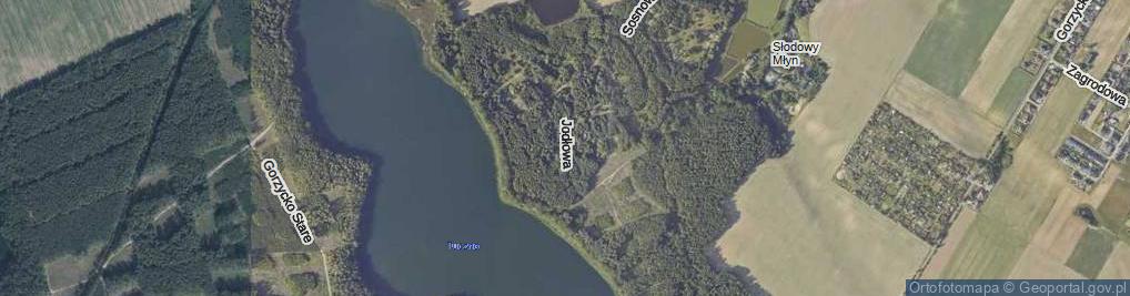 Zdjęcie satelitarne Jodłowa ul.