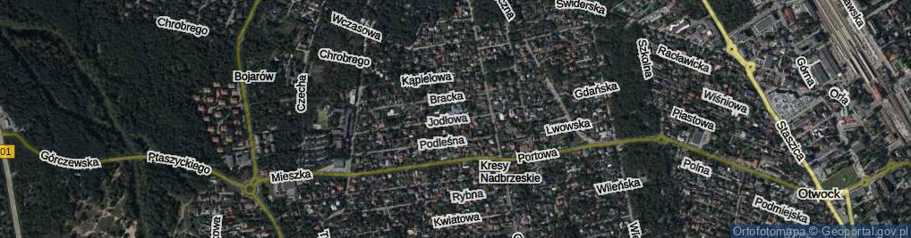 Zdjęcie satelitarne Jodłowa ul.