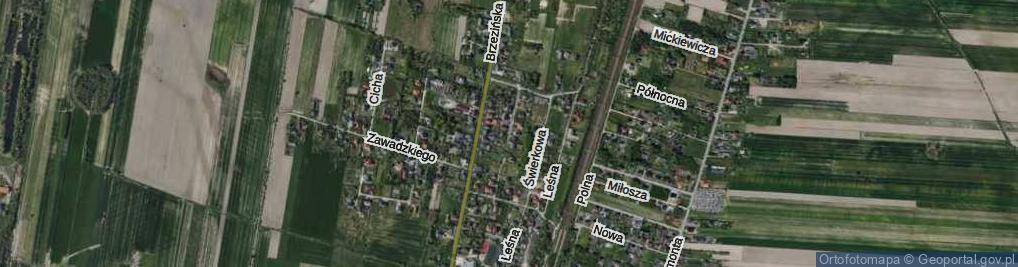 Zdjęcie satelitarne Jodłowa ul.