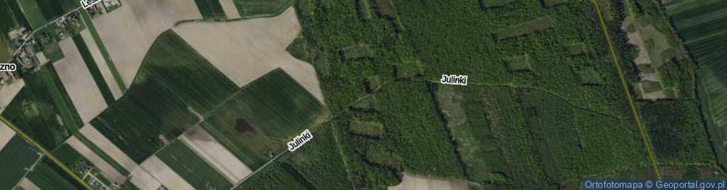 Zdjęcie satelitarne Julinki ul.
