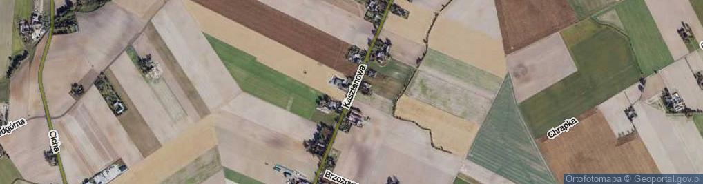 Zdjęcie satelitarne Kasztanowa ul.