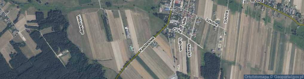 Zdjęcie satelitarne Kasztanowa ul.