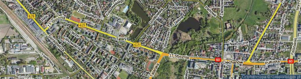 Zdjęcie satelitarne Kasztanowa ul.