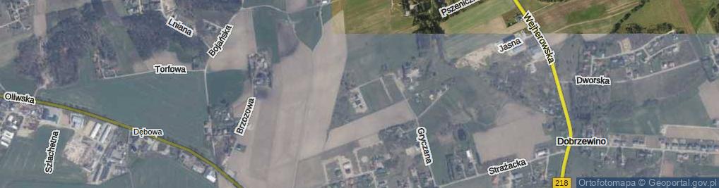 Zdjęcie satelitarne Kalinowa ul.