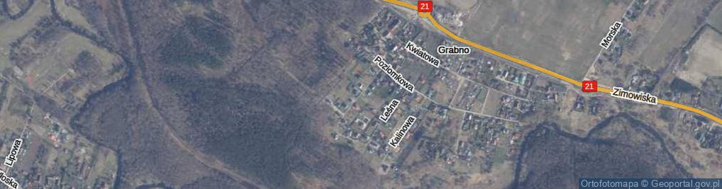 Zdjęcie satelitarne Kasztanowa ul.