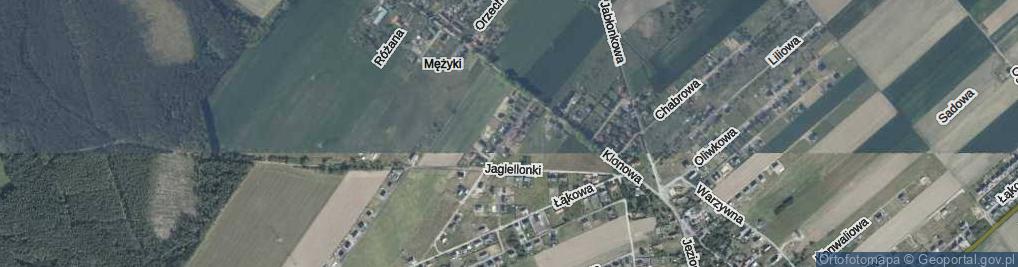 Zdjęcie satelitarne Kasztanowa ul.