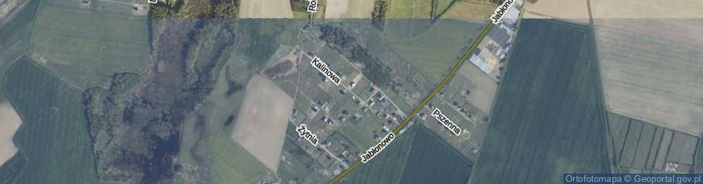 Zdjęcie satelitarne Kalinowa ul.