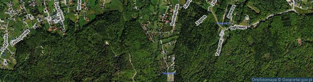 Zdjęcie satelitarne Kaszyska ul.