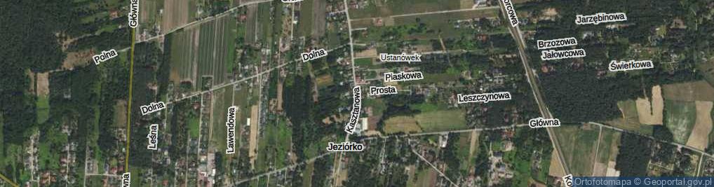 Zdjęcie satelitarne Kasztanowa ul.