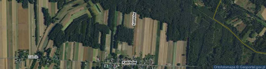Zdjęcie satelitarne Kalinków ul.