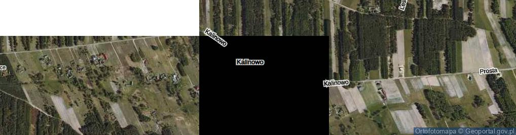 Zdjęcie satelitarne Kalinowo ul.
