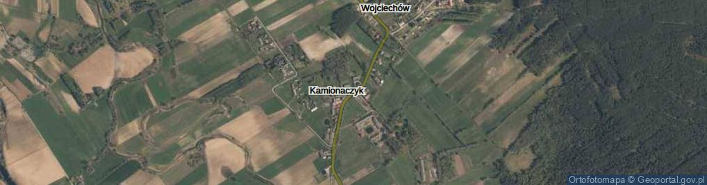 Zdjęcie satelitarne Kamionaczyk ul.