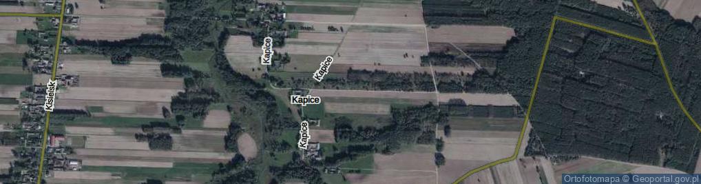 Zdjęcie satelitarne Kapice ul.