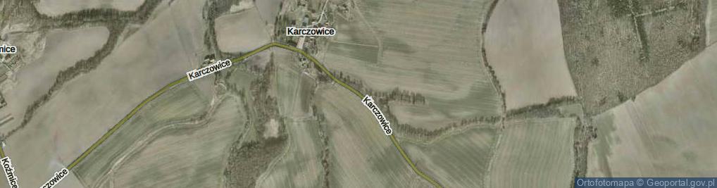Zdjęcie satelitarne Karczowice ul.
