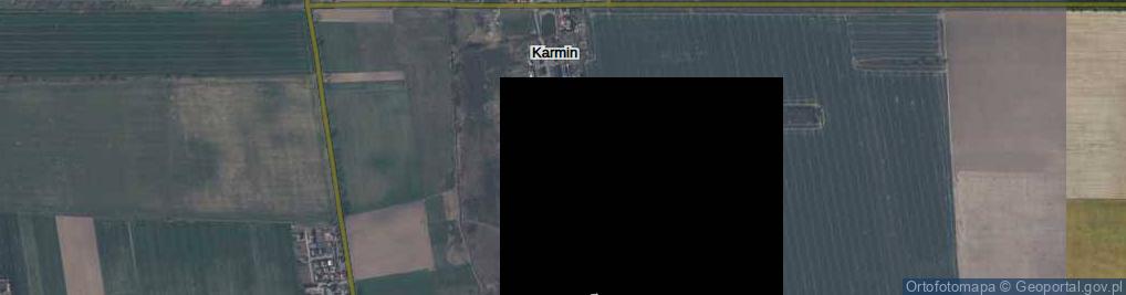 Zdjęcie satelitarne Karmin ul.