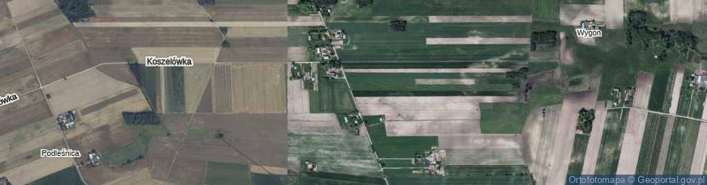 Zdjęcie satelitarne Kazimierzów ul.