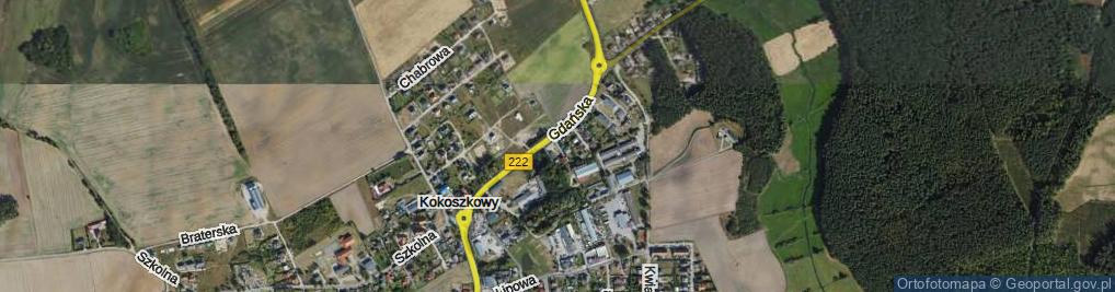 Zdjęcie satelitarne Kasztanowa ul.