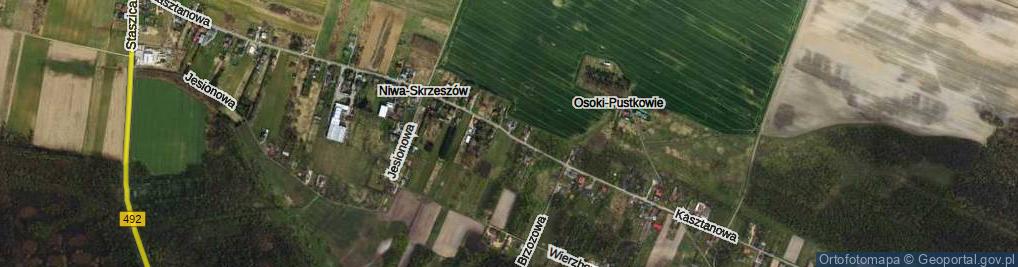 Zdjęcie satelitarne Kasztanowa ul.