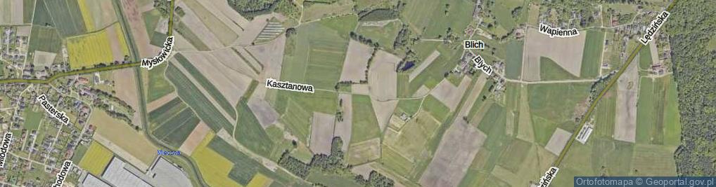 Zdjęcie satelitarne Kasztanowa ul.