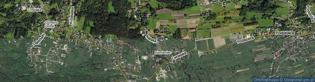 Zdjęcie satelitarne Kaliska ul.