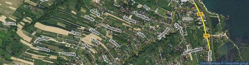 Zdjęcie satelitarne Kasztanowa ul.