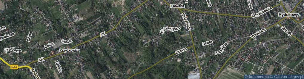 Zdjęcie satelitarne Kalwaryjska ul.