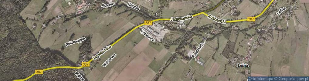 Zdjęcie satelitarne Kamienna ul.