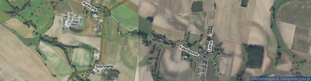 Zdjęcie satelitarne Kasztanowa ul.