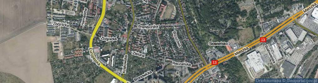 Zdjęcie satelitarne Kasztanowa ul.