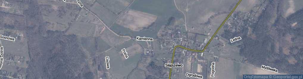 Zdjęcie satelitarne Kamienna ul.