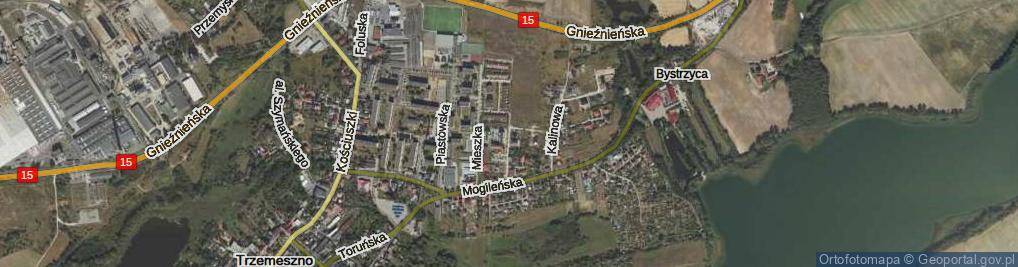 Zdjęcie satelitarne Kasztanowa ul.