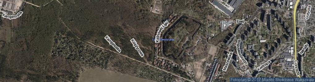 Zdjęcie satelitarne Kalinowej Łąki ul.