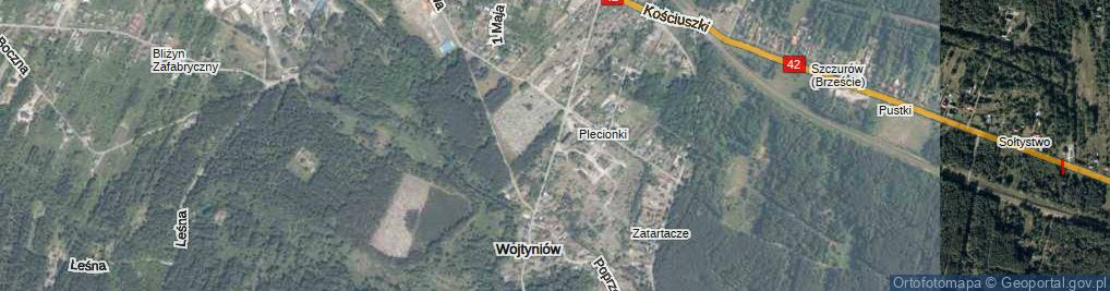 Zdjęcie satelitarne Kamienna ul.