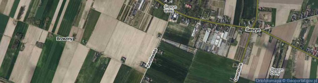 Zdjęcie satelitarne Kamilewska ul.