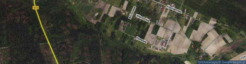 Zdjęcie satelitarne Klonowa ul.