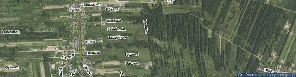Zdjęcie satelitarne Klonowa ul.