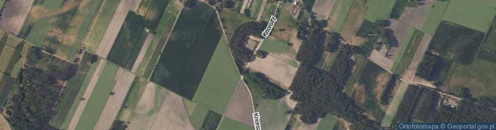 Zdjęcie satelitarne Knorozy ul.