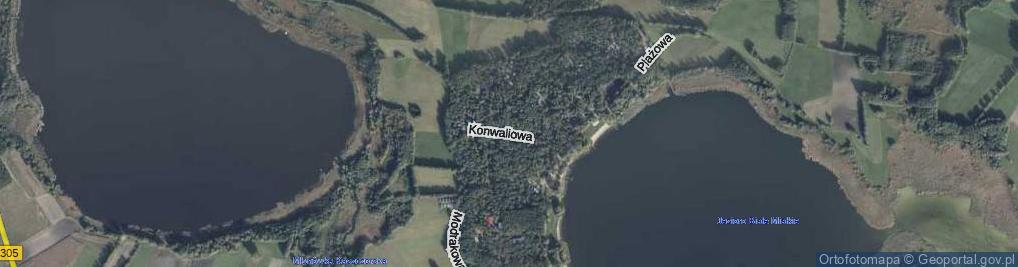 Zdjęcie satelitarne Konwaliowa ul.