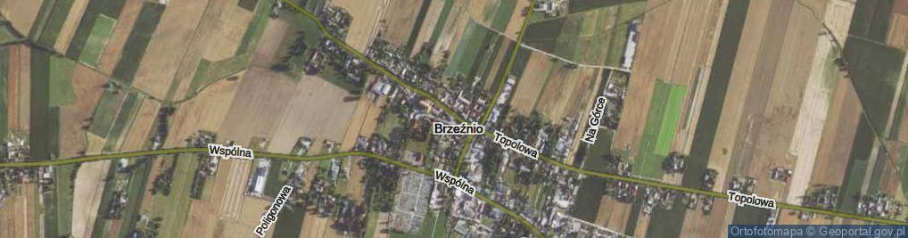 Zdjęcie satelitarne Kombatancka ul.