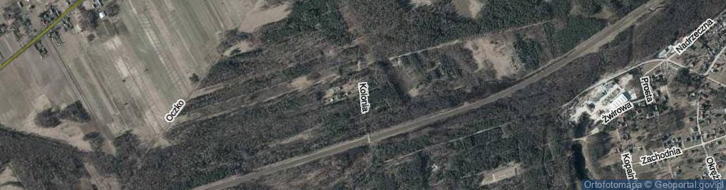 Zdjęcie satelitarne Kolonia ul.